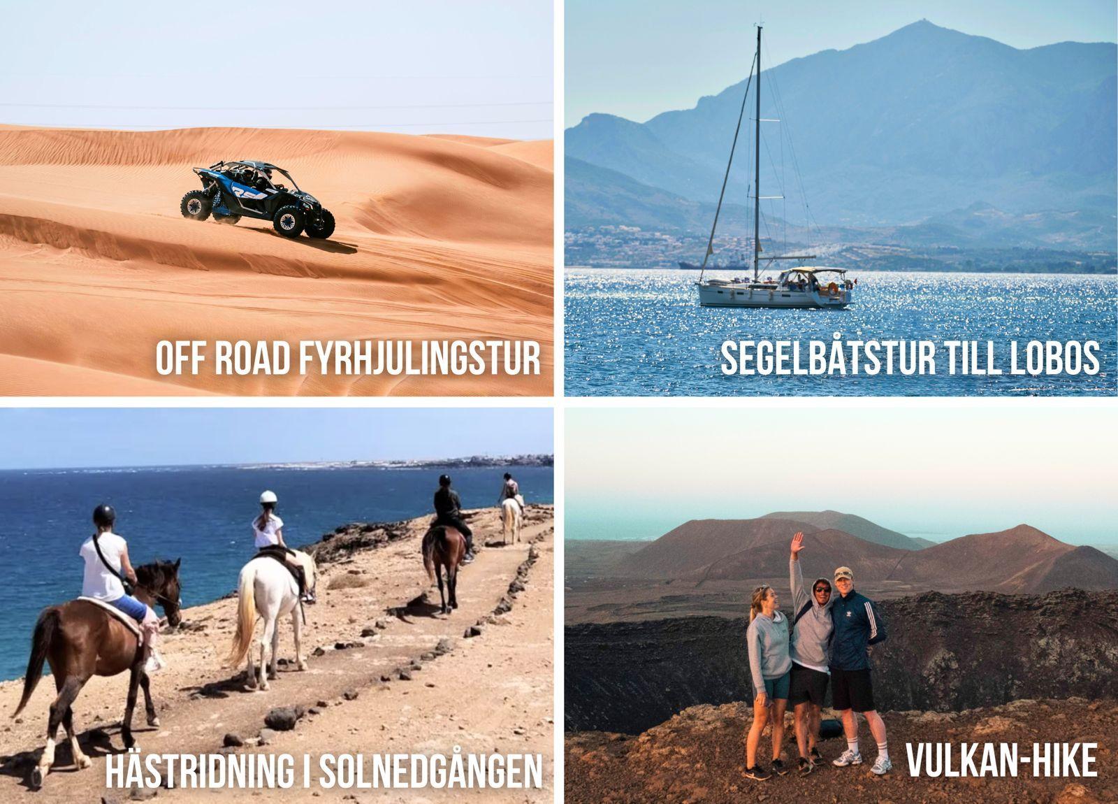 Fuerteventuras utflykter – off road fyrhjulingstur, båttur till Lobos, ridning i solnedgången och en magisk vulkan hike. 