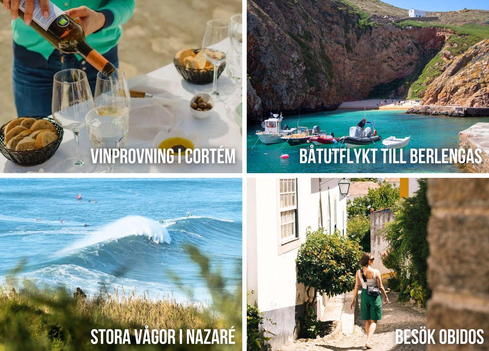 Portugals utflykter – vinprovning i Cortém, båttur till Berlengaöarna, stora vågor i Nazaré och den medeltida byn Óbidos